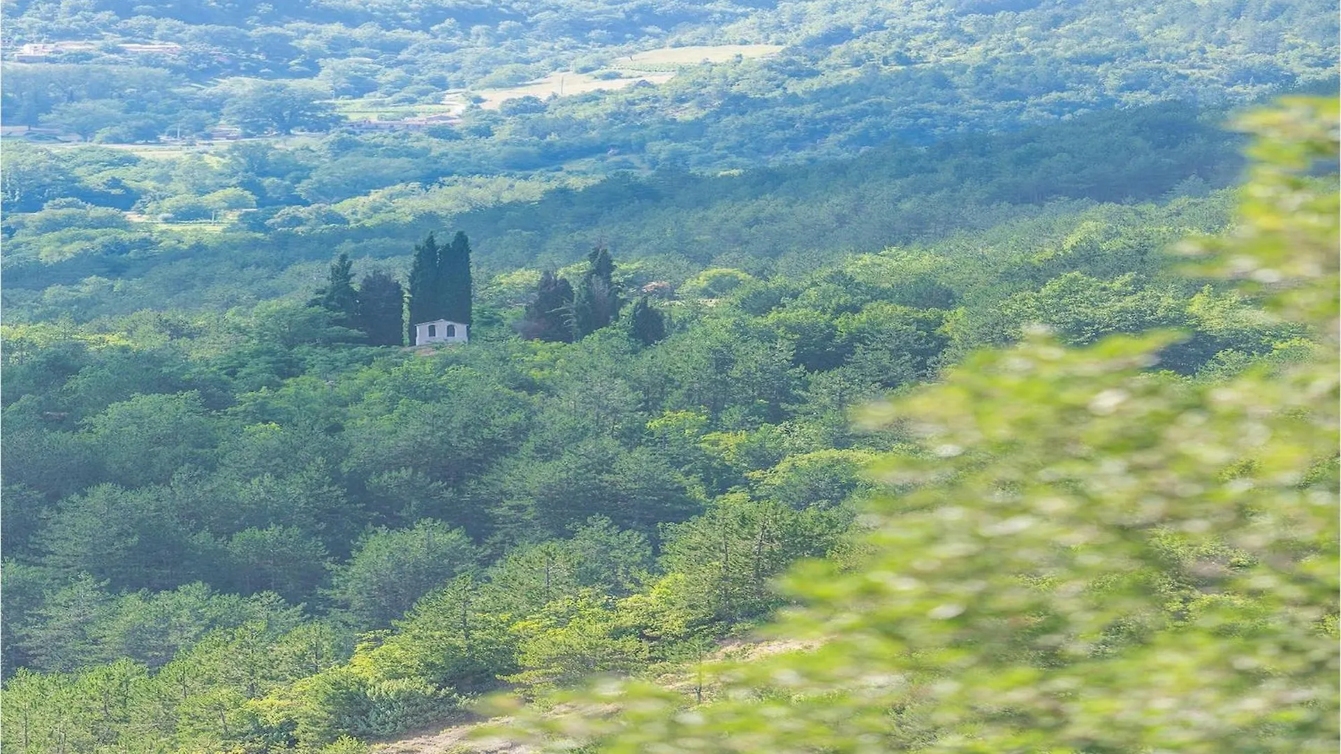 Villa Sussini Krbune